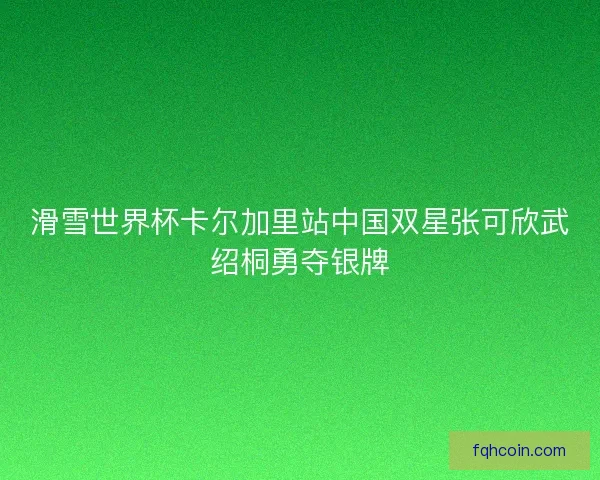滑雪世界杯卡尔加里站中国双星张可欣武绍桐勇夺银牌